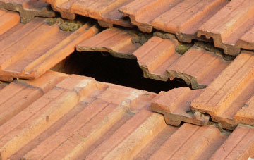roof repair Smallridge, Devon