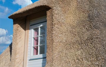 Smallridge thatch roof disadvantages